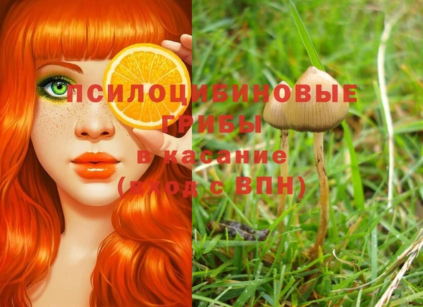 наркотики Абинск